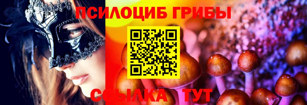 Альметьевск  Псилоцибиновые грибы Cubensis  Вход с VPN  Псилоцибиновые грибы мицелий 
